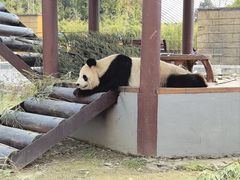 -杭州野生动物世界