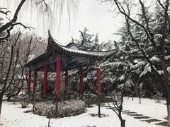 -金城公园