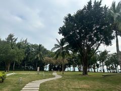 -三亚海棠湾万丽度假酒店