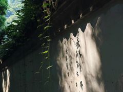 -宁波市保国寺古建筑博物馆