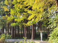 -东湖落雁景区