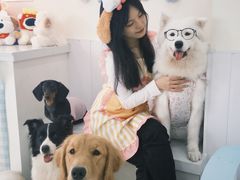 -汪说·狗咖·拼豆·宠物周边DIY(旺城大厦店)