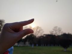 -艾溪湖湿地公园