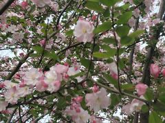 -大兴滨河森林公园