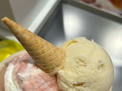 -极拉图·现制冰淇淋(梅溪湖新天地步步高店)