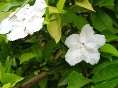 -玉林生活广场