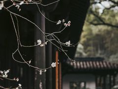 -杭州植物园