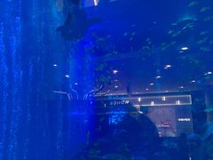 -成都浩海立方海洋公园