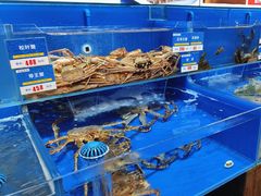 -船梆煮•蒸汽海鲜·生腌干蒸(五四广场店)