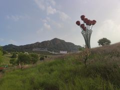 -密云玫瑰情园