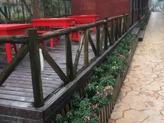 -洪湖家庭农场·团建·露营·会议