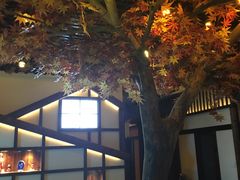 -枫伝料理居酒屋