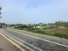 -空港花田景区