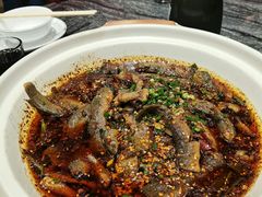 情妹耙泥鳅-情妹耙泥鳅·江湖川菜(科华店)