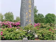 -洛阳市隋唐城遗址植物园
