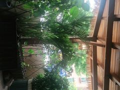 -泰堤坊(淡水体育馆店)