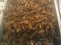 -万顺啤酒屋(皇寺路店)