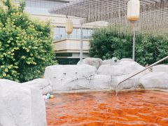 -北京乐多港万豪酒店汤乐宫温泉