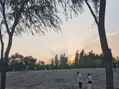 -东郊湿地公园