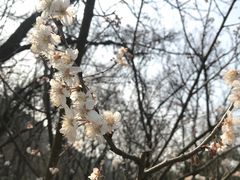 -宝界山林公园