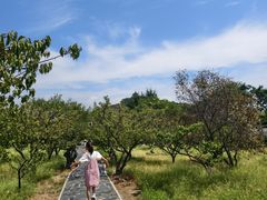 -苏州冶园园林民宿(太湖西山风景区店)