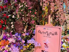 -正佳雨林生态植物园