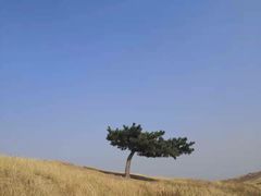 -恋山坝上草原