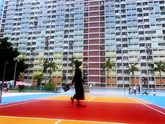 -彩虹村