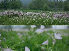 -良渚古城遗址公园