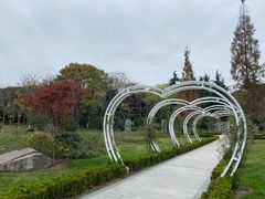 -昆山城市生态森林公园