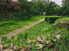 -玲珑塔公园