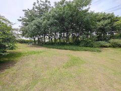 -九里河湿地公园