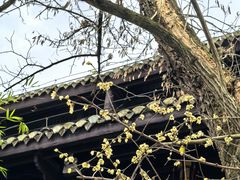 -阳明祠