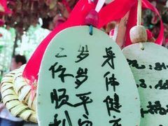 -呀诺达热带雨林