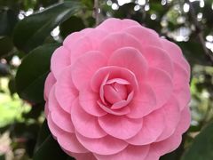 -东京国立博物馆