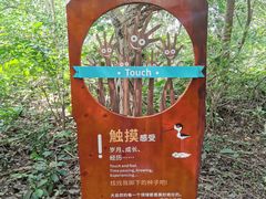 -华侨城湿地公园