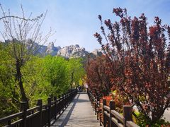 -崂山仰口游览区