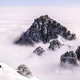 【博洋视线】 难忘黄山雪️ 云和雪都恋着这山峦