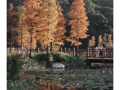 -广州市石门国家森林公园