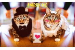 iphone_upload_pic-上海彩妆秀摄影设计有限公司