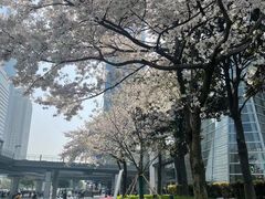 -上海环球金融中心骑迹50年环球之旅