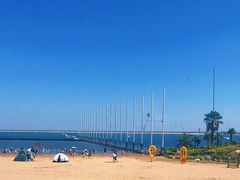 -碧海金沙