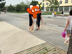 -日照海滨国家森林公园