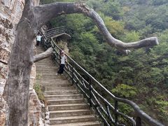 -十渡东湖港风景区