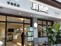 -乍甸乳业鲜奶吧(红河水乡店)