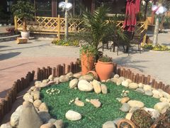 -森居forest休闲咖啡聚集地