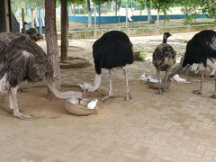 -武汉紫薇都市田园