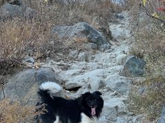 -北京西山国家森林公园