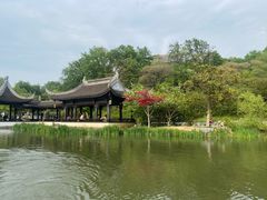 -镇江市南山风景名胜区竹林景区