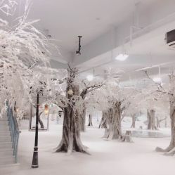 -布拉格婚纱摄影(真实客片店)